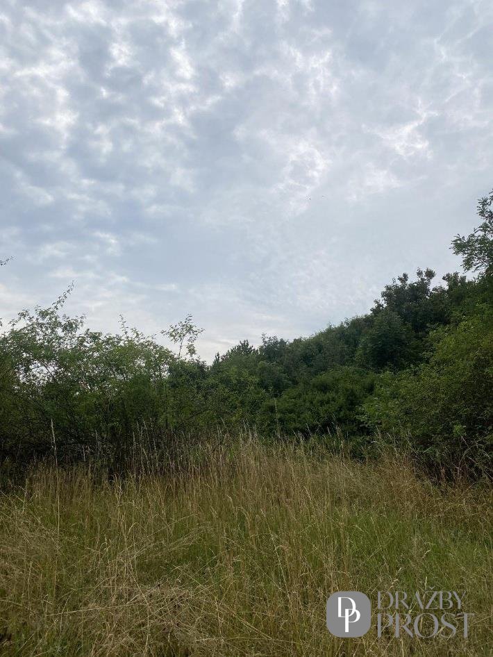 Podíl na pozemcích Praha - Michle